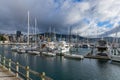 Wellington Harbour with sailing boats