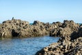 Wellington NZ, Breaker Bay Rocks Royalty Free Stock Photo