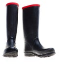 Wellingtons Royalty Free Stock Photo