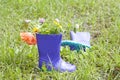 Wellingtons in spring rainy day Royalty Free Stock Photo