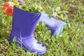 Wellingtons in spring rainy day Royalty Free Stock Photo