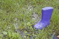 Wellingtons in spring rainy day Royalty Free Stock Photo