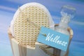 Wellness - bath set in blue and turquoise Royalty Free Stock Photo