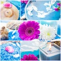 Wellness collage floral water bath salt spa series Royalty Free Stock Photo