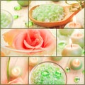 Wellness collage floral water bath salt spa series collage Royalty Free Stock Photo