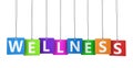 Wellness Colorful Tags