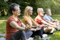 Wellness Concept. Group Of Smiling Senior People Meditating Together Outdoors Royalty Free Stock Photo