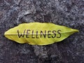 Wellness concept written on leaf Royalty Free Stock Photo