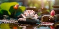 wellness design with water lily in a pond Royalty Free Stock Photo