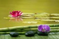 Wellness environment with black stones and orchid Royalty Free Stock Photo