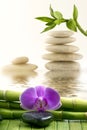 Wellness environment with massage stones, bamboo and orchid Royalty Free Stock Photo