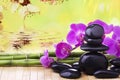 Wellness environment with black stones and orchid flowers Royalty Free Stock Photo