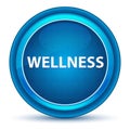 Wellness Eyeball Blue Round Button Royalty Free Stock Photo