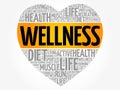 WELLNESS heart word cloud collage Royalty Free Stock Photo