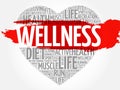 WELLNESS heart word cloud collage Royalty Free Stock Photo
