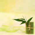 Wellness with herbal soap Royalty Free Stock Photo