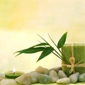 Wellness with herbal soap and leaves Royalty Free Stock Photo