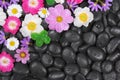 Wellness, hot stones and flower background Royalty Free Stock Photo