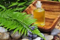 Wellness Plants green oil Royalty Free Stock Photo