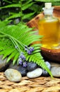 Wellness Plants green oil Royalty Free Stock Photo