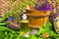 Wellness Plants green oil