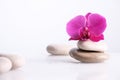 Wellness, relax, massage and wellbeing concept. Spa stones and orchid flower over white background Royalty Free Stock Photo