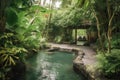 wellness retreat with hot spring pool, surrounded by lush greenery