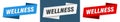 Wellness banner. wellness ribbon label sign set