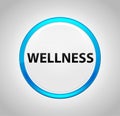 Wellness Round Blue Push Button Royalty Free Stock Photo