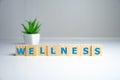 Wellness sign with wooden cubes and flowers