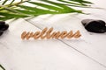 Wellness sign with wooden letters with leaves and stones. Relax therapy care spa wellness concept