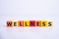 Wellness sign with wooden on white background Royalty Free Stock Photo