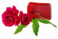 Health and beauty, on white background. Soap natural ingredients, red roses and mint leaves Royalty Free Stock Photo