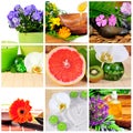 Wellness spa collage Royalty Free Stock Photo