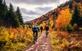 Wellness and sport activity in autumn, Two cyclists riding along an autumn forest road, back view