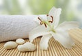 Wellness still life pebbles and white lily Royalty Free Stock Photo