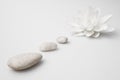 Wellness still life pebbles and white lily Royalty Free Stock Photo