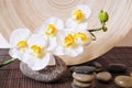 Wellness stones orchids