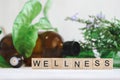 WELLNESS text in wooden block letters with various amber essential oil bottles and fresh foliage