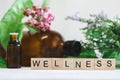 WELLNESS text in wooden block letters with various amber essential oil bottles and fresh foliage