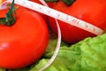 Wellness tomato salad Royalty Free Stock Photo