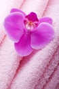 Wellness towel with pink orchid flower Royalty Free Stock Photo