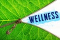 Wellness word under zipper leaf