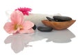 Wellness zen and spa Royalty Free Stock Photo