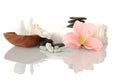 Wellness zen and spa Royalty Free Stock Photo