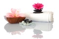 Wellness zen and spa Royalty Free Stock Photo