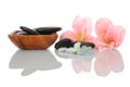 Wellness zen and spa Royalty Free Stock Photo