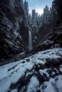 Wells Creek Falls Winter Royalty Free Stock Photo