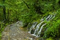 Wellspring and cascade at Tara mountain and national park Royalty Free Stock Photo