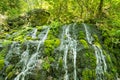 Wellspring with small cascades at Tara mountain and national park Royalty Free Stock Photo